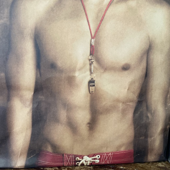 2012 Hollister Male Model Swimsuit Shopping Bags Set of 2 - Picture 3 of 12